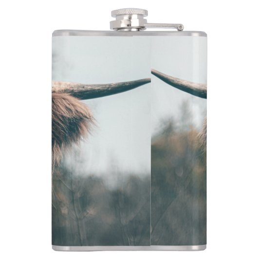 Portret koe Highland Heupfles (Achterkant)