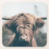 Portret koe Highland Kartonnen Onderzetters (Voorkant)
