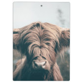 Portret koe Highland Klembord (Achterkant)