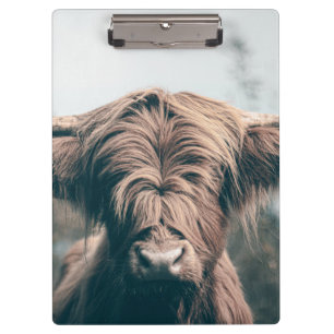 Portret koe Highland Klembord