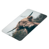 Portret koe Highland Magneet (Linkerzijde)