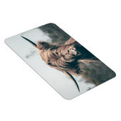 Portret koe Highland Magneet (Rechterzijde)