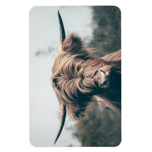 Portret koe Highland Magneet (Verticaal)