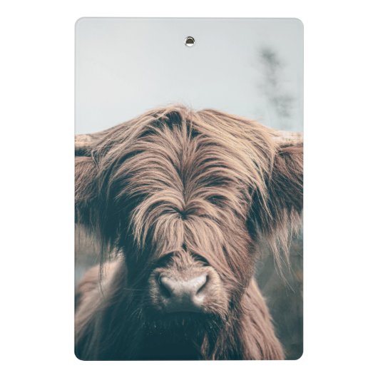 Portret koe Highland Mini Klembord (Achterkant)