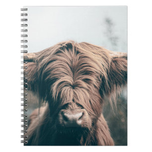 Portret koe Highland Notitieboek