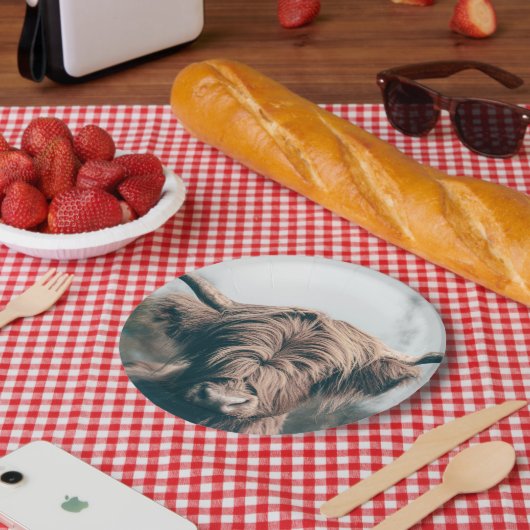 Portret koe Highland Papieren Bordje (Picknick)