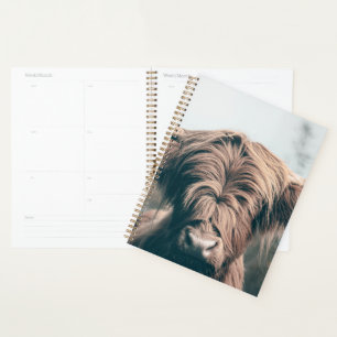 Portret koe Highland Planner
