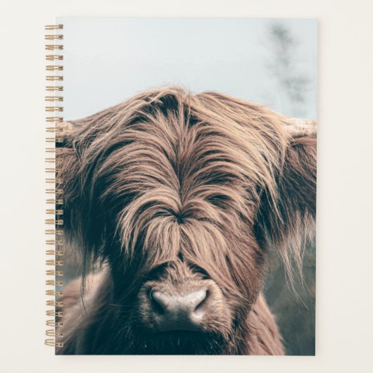 Portret koe Highland Planner (Voorkant)