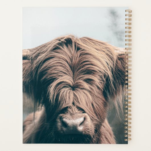 Portret koe Highland Planner (Achterkant)