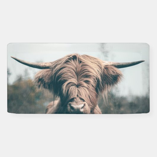 Portret koe Highland Spandoek (Horizontaal)