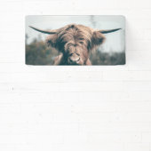 Portret koe Highland Spandoek (Insitu)