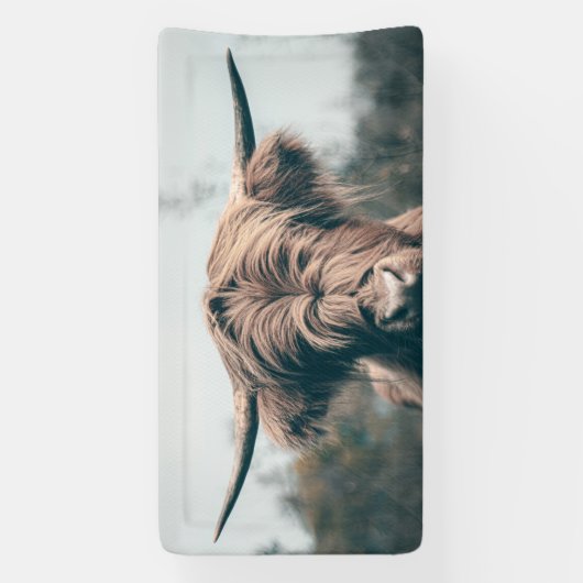 Portret koe Highland Spandoek (Verticaal)