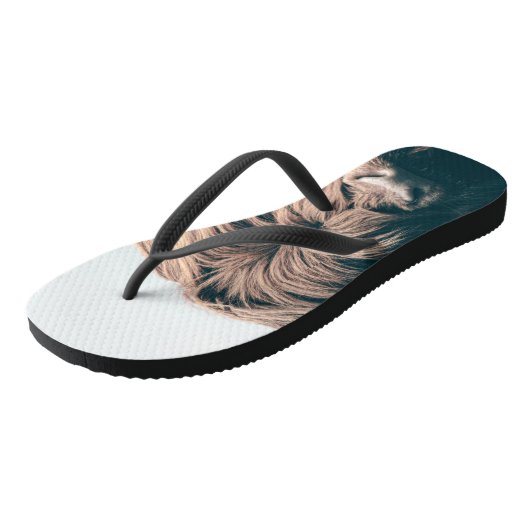 Portret koe Highland Teenslippers (Schuin)