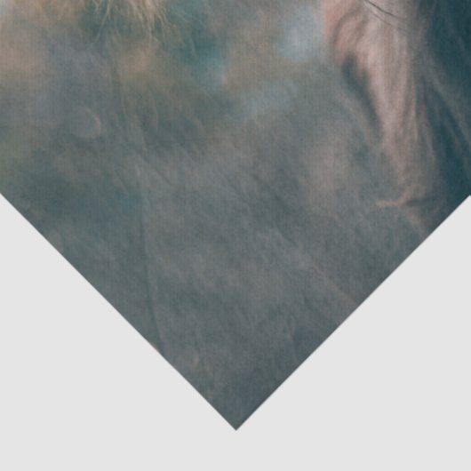 Portret koe Highland Tissuepapier (Detail)