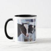 Portret koe mok (Links)