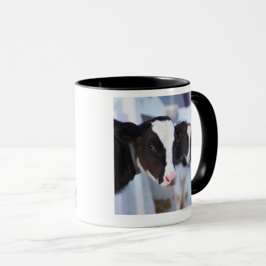 Portret koe mok (Voorkant rechts)