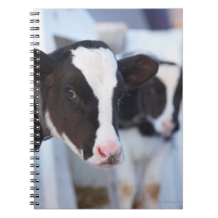 Portret koe notitieboek