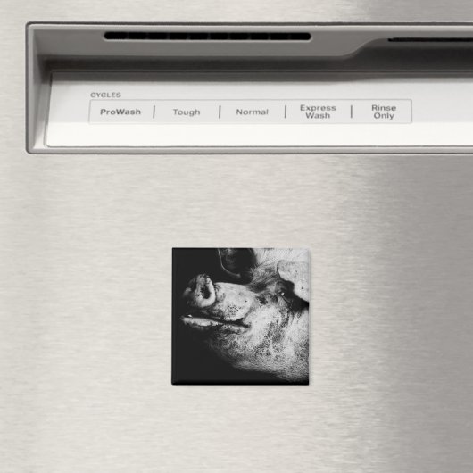 portret magneet (Insitu (Vaatwasser))