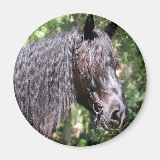 portret magneet (Voorkant)