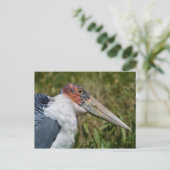 Portret marabou stork briefkaart (Staand voorkant)