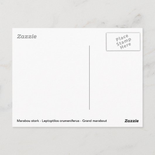 Portret marabou stork briefkaart (Achterkant)