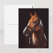 Portret mooie bruine verf paard foto briefkaart (Voorkant / Achterkant)