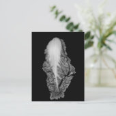 Portret Napa Cabbage Foto Briefkaart (Staand voorkant)