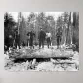 Portret of Loggers, 1890.  foto Poster (Voorkant)