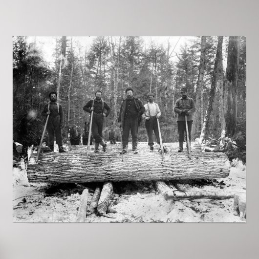 Portret of Loggers, 1890.  foto Poster (Voorkant)