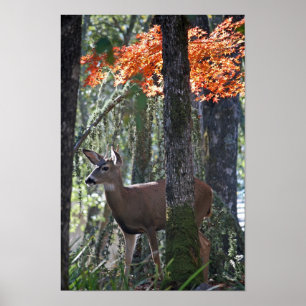 "Portret of Peace" Poster