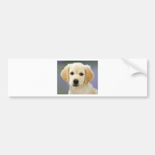 Portret olie van labrador Retriever Puppy Bumpersticker (Voorkant)