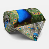 Portret pauock-scherm stropdas (Opgerold)