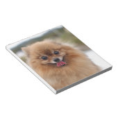 Portret Pommerse Hond Notitieblok (Schuin)