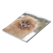 Portret Pommerse Hond Notitieblok (Linkerzijde)