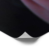 portret poster (Hoek)