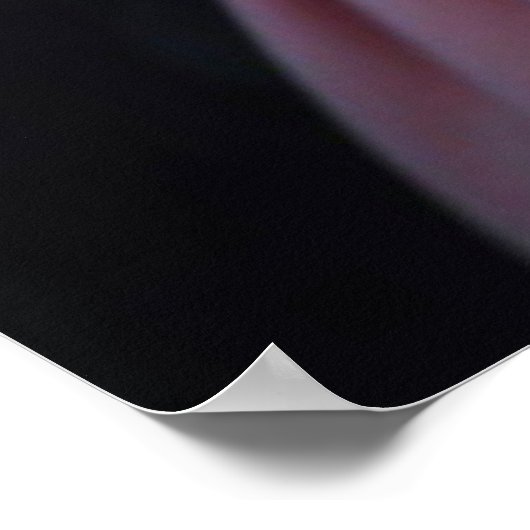 portret poster (Hoek)