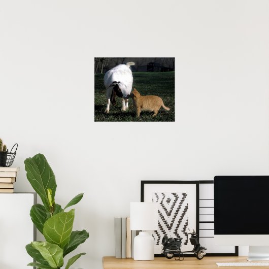 Portret Poster voor boergeiten en kat (Thuiskantoor)