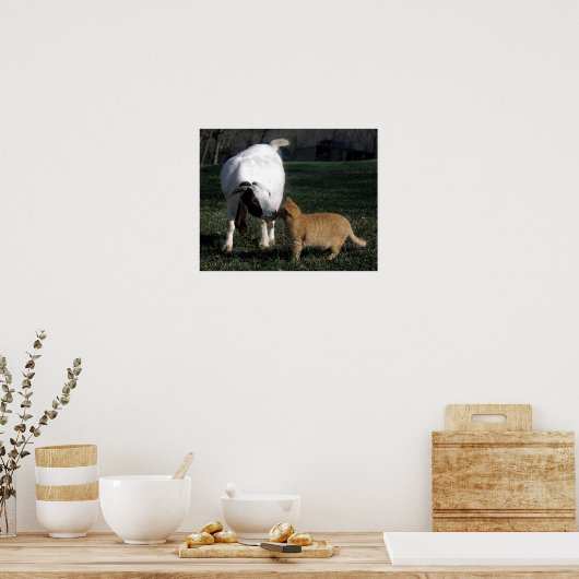 Portret Poster voor boergeiten en kat (Keuken)