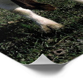 Portret Poster voor boergeiten en kat (Hoek)