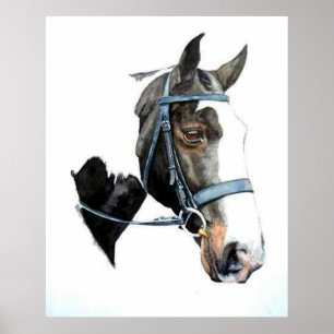 Portret Poster voor zware Hunter-paarden