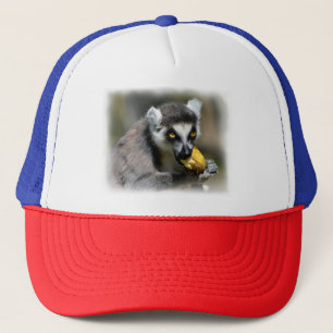 Portret ringstaartmaki eten een banaan trucker pet