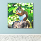 Portret rode eekhoorn canvas afdruk (Insitu (Houten vloer))