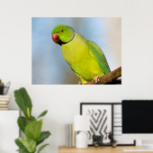 Portret Roos-ringed paraket Poster (Thuiskantoor)