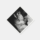 portret servetten (Hoek)