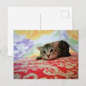 Portret speelruimte voor voetstuk in bed briefkaart (Voorkant / Achterkant)