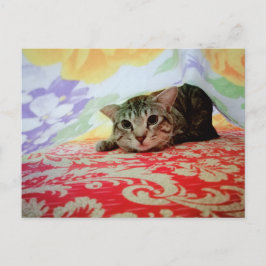 Portret speelruimte voor voetstuk in bed briefkaart