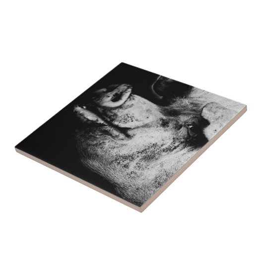 portret tegeltje (Zijkant)