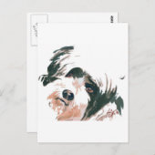 portret Tibetan Terrier Briefkaart (Voorkant / Achterkant)