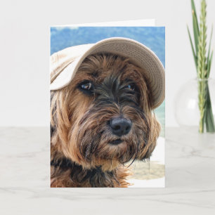 Portret Tibetan Terrier Leisure Kaart