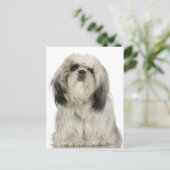 Portret Tibetan Terrier-puppy Briefkaart (Staand voorkant)